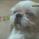 참 이미지