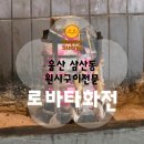 (목) 써니김밥 | 울산 삼산 술집 추천 분위기 미쳤던 &#39;로바타화전&#39; 후기 (ft. 후토마끼)