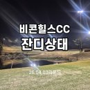 비콘 | ⛳야간라운드 홍천 비콘힐스CC 솔직후기(잔디상태)