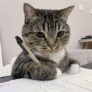 우리마트 월성점 이미지