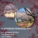 낙동장터 이미지