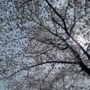 구곡농장 이미지