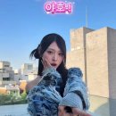 일본인이지만 민감한 시기인거 인지하는 미나미 이미지
