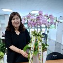 진명해피케어 이미지