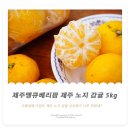 땡큐베리팜 | 제주땡큐베리팜에서 주문해서 먹은 제주 노지 감귤 아이들도 좋아해