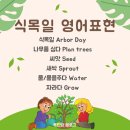 자라다plant 이미지