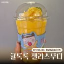 젤리조아 | 메가커피 귤톡톡 젤리스무디 후기｜탱글탱글 젤리+젤루조아 맛 신메뉴 리뷰