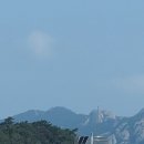 진도항 이미지