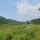 송집수효자각 | [청주 미원 옥화9경] 옥화구곡 관광길 청석굴에서 옥화대 금봉까지 걸어봤어요! 걷기길 하이킹 코스 추천!