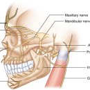 명작한의원 이미지