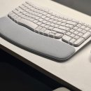P-5J02 | 로지텍 키보드 WAVE KEYS 솔직 후기 | 손목 피로 효도템 무선 인체공학 키보드