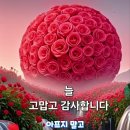 국화차의 7가지 효능 이미지