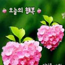 오늘의행복