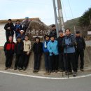 천세 Daum카페