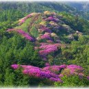 세교동사무소 앞 이미지