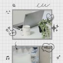 스테이에셀 이미지