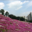 동탄2동 주민센타 이미지