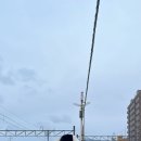 슬기야 저기야