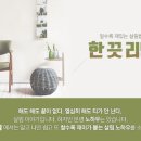 중앙전자세탁소 이미지