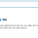 빼꼼시즌2