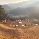 세종묘지관리