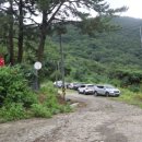 푸른숲농장