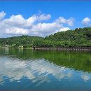 자연공원 이미지