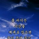 꽃마음