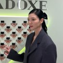 비비드무드
