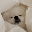 씨씨모텔 네이버블로그