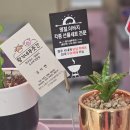 황가네정육점 이미지