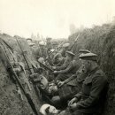 티앤행정사사무소 이미지