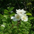 일기일회 이미지