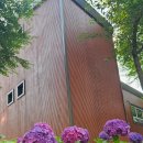월아산 숲속의 진주 다목적실 | 경남수국명소, 진주시, 월아산숲속의 진주 수국정원