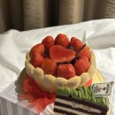 (주)호텔롯데 롯데시티호텔명동 | 롯데시티호텔 명동 슈페리어 패밀리 트윈룸, 서울 을지로 호캉스 숙박후기