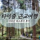 (주)모바일버스 | 대만 타이중 출발 아리산 여행 버스투어 클룩 다녀온 후기