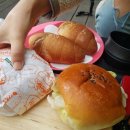 제공. my sister) 수동 하나로마트 수동빵공장 소금빵과 햄버거, 수동 꼬끼오 유리잔, 야영테크 206번 후기