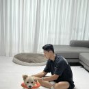 로이덕 이미지