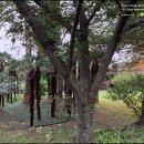 색달동-6 이미지