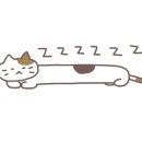 아가마미 고양이카페 이미지