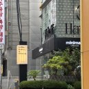 카페버블리 | 역삼역 카페 미니말레 헬싱키라떼 내돈내산 솔직후기, 유튜버 버블리