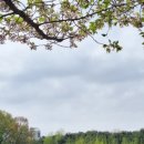 강남서로1 이미지