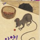 다섯콩 이미지