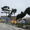 후평숲속유치원 이미지