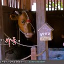 다듬잇돌세탁 이미지