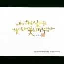 수채 캘리그라피 이미지
