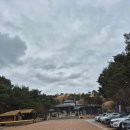 대가야박물관 | 대가야 도읍[고령 지산동 고분군] 박물관 후기_국가유산 방문 여권 투어 주차 스탬프 위치 근처 맛집