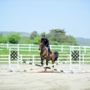 한국경마축산고등학교 이미지