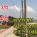 13억에서 4억으로 '뚝' 바닷가에서 이런 땅 보면... 이미지