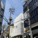 컬러예보 | 강남 퍼스널 컬러진단 컬러예보 컨설팅 후기